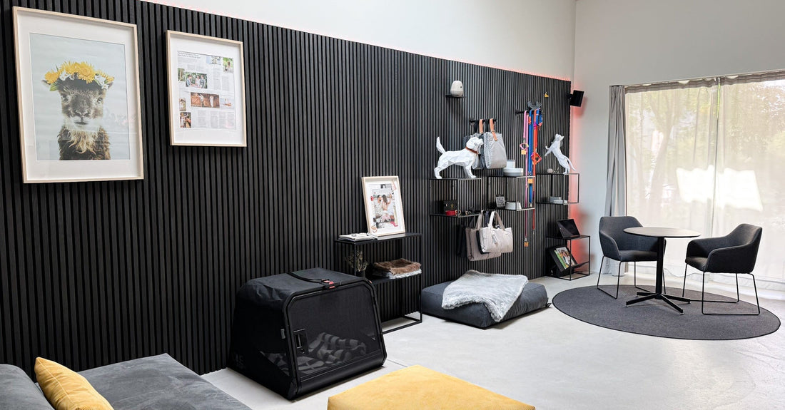 Shop & Showroom