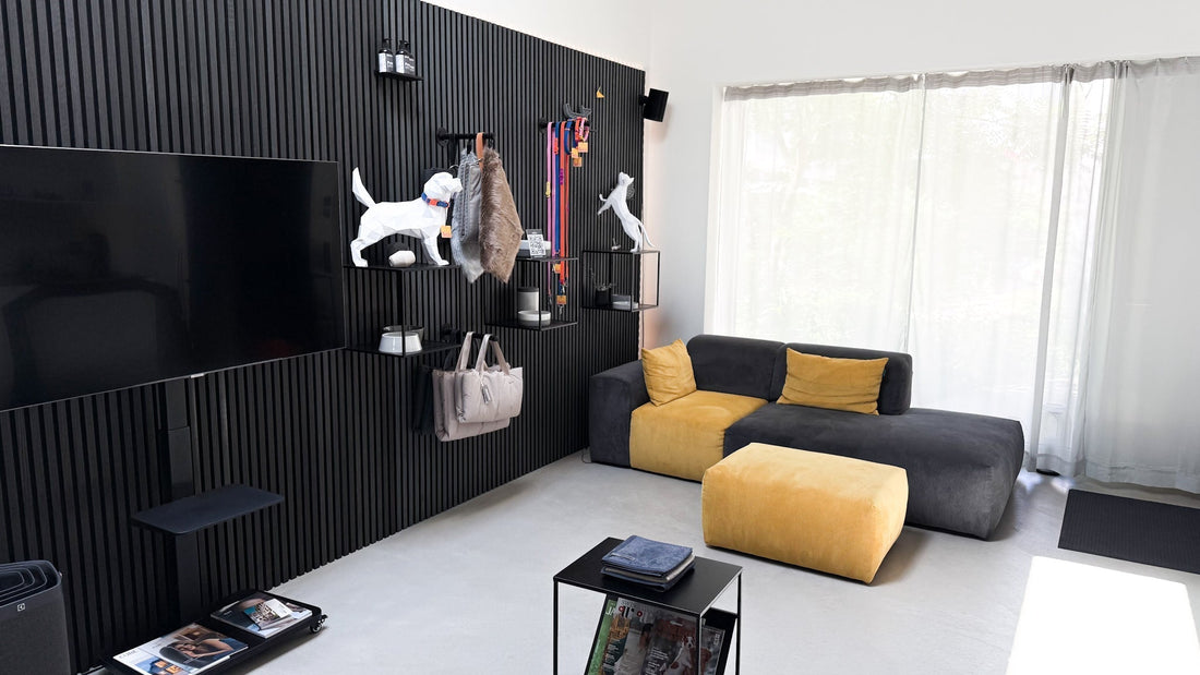 Shop & Showroom