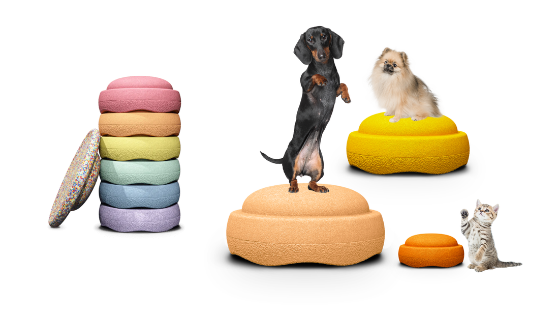 10 Ideen wie Du Stapelstein® mit Deinem Hund nutzen kannst 🐾