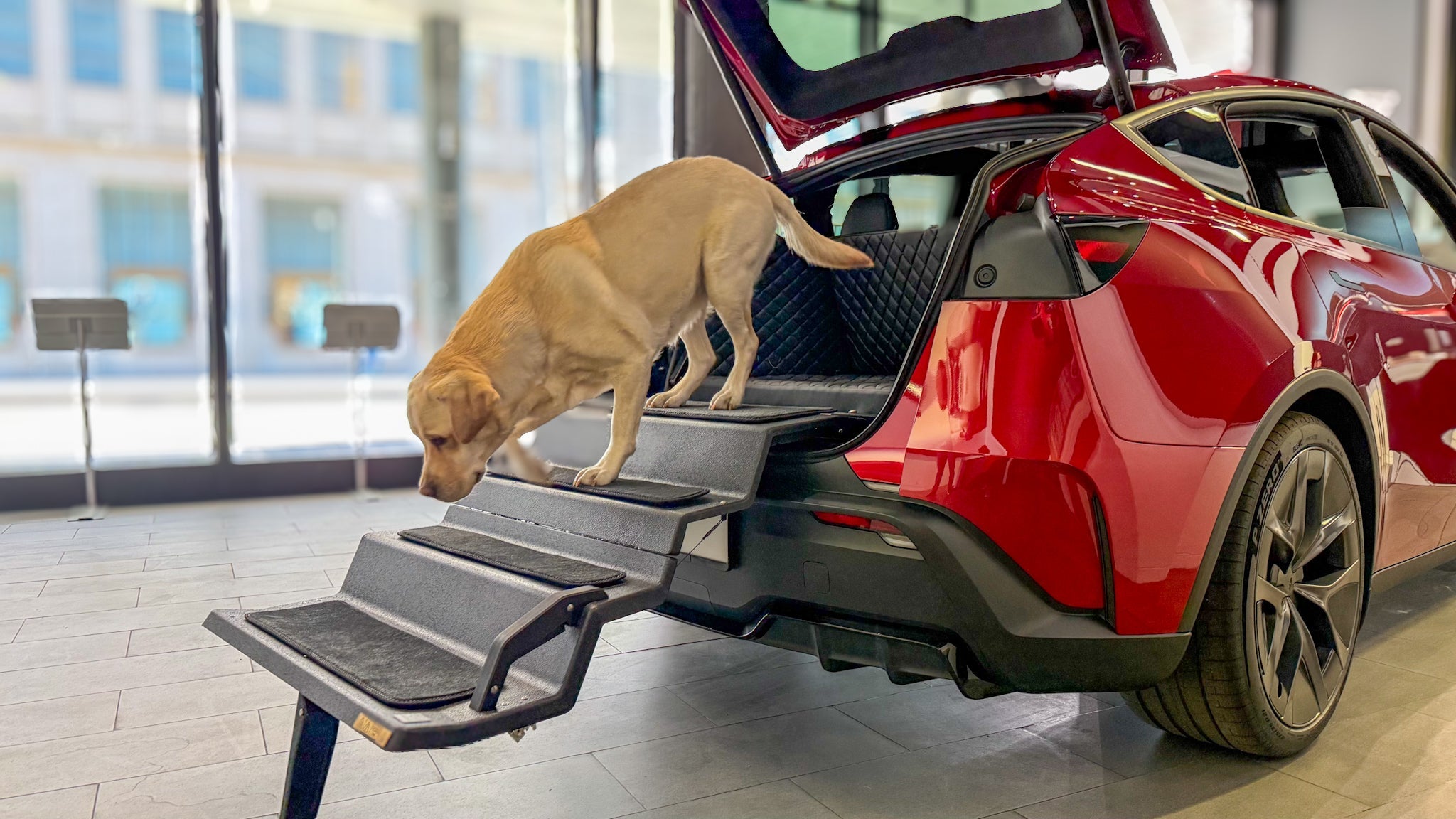Auto