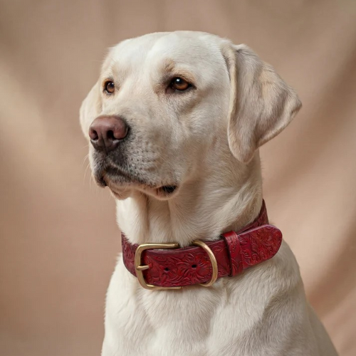 Doggy with Style Hundehalsband Floralis - Breit