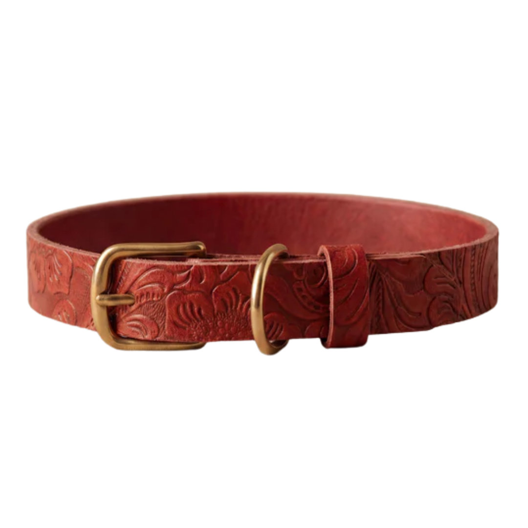 Doggy with Style Hundehalsband Floralis - Schmal