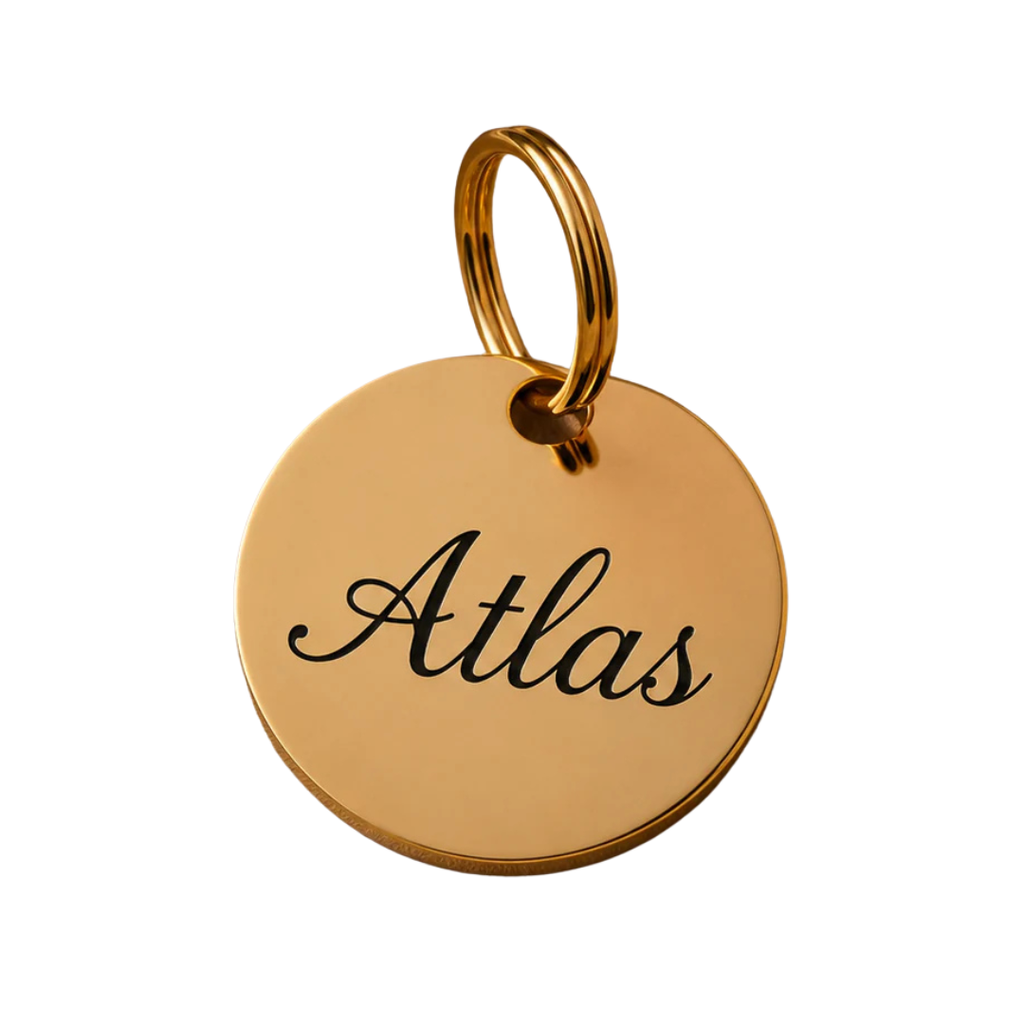 Doggy with Style Dog Tag