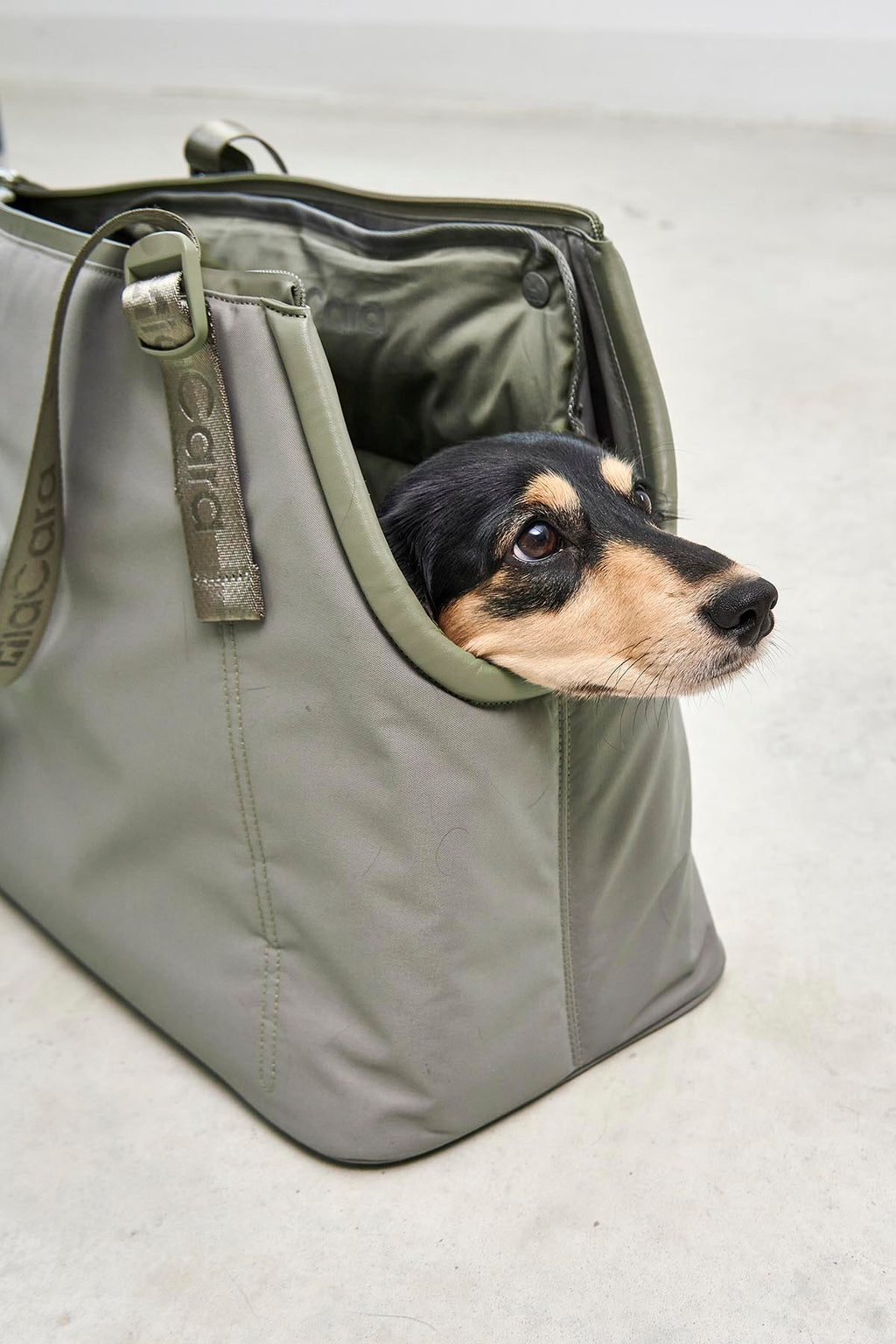 MiaCara Sporta Hundetragetasche