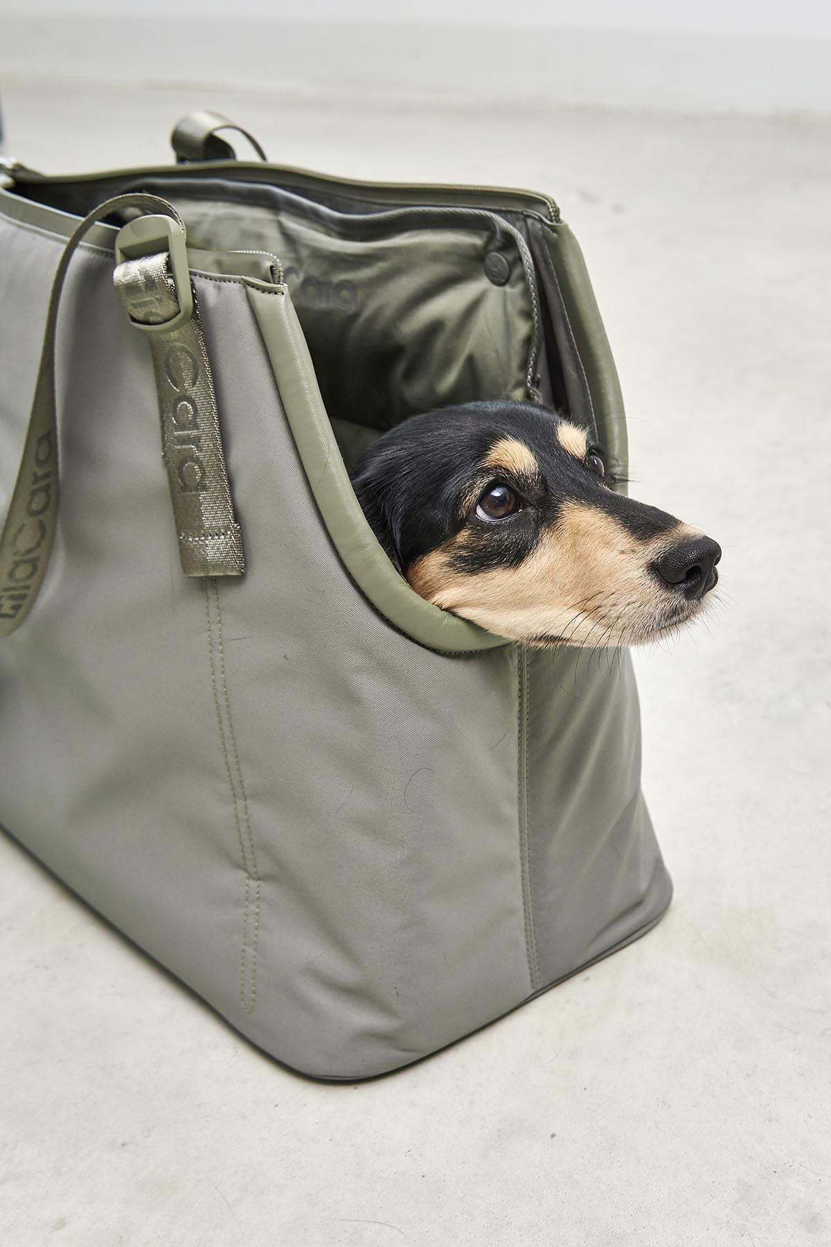 MiaCara Sporta Hundetragetasche