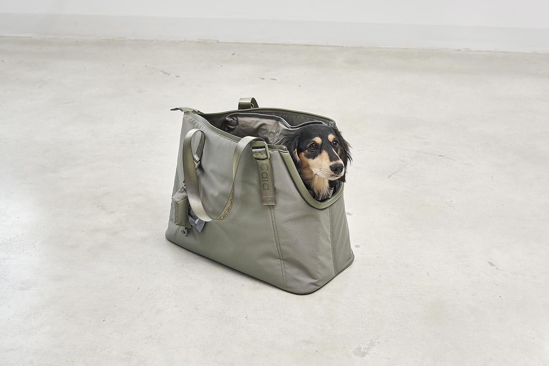 MiaCara Sporta Hundetragetasche