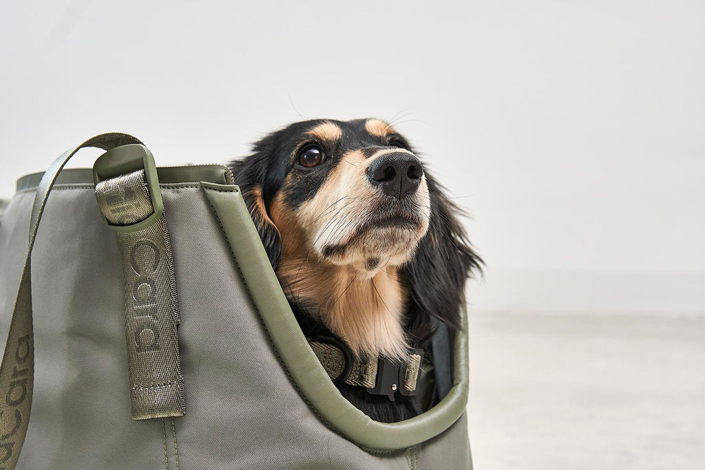 MiaCara Sporta Hundetragetasche