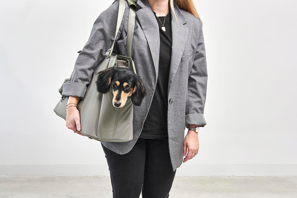 MiaCara Sporta Hundetragetasche