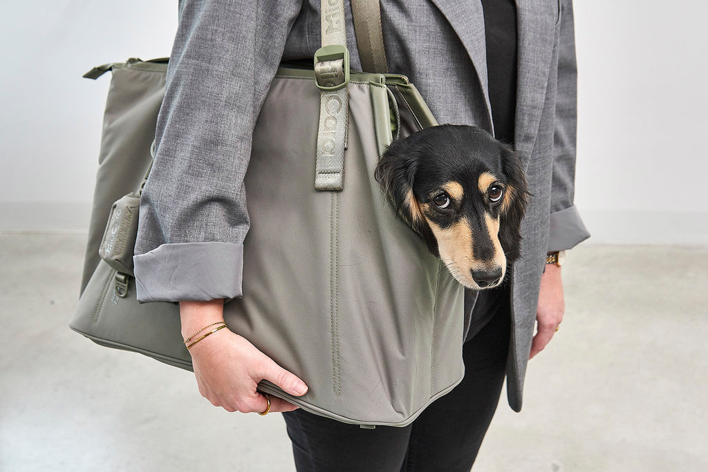 MiaCara Sporta Hundetragetasche