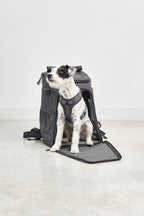 MiaCara Zaino Dog Backpack