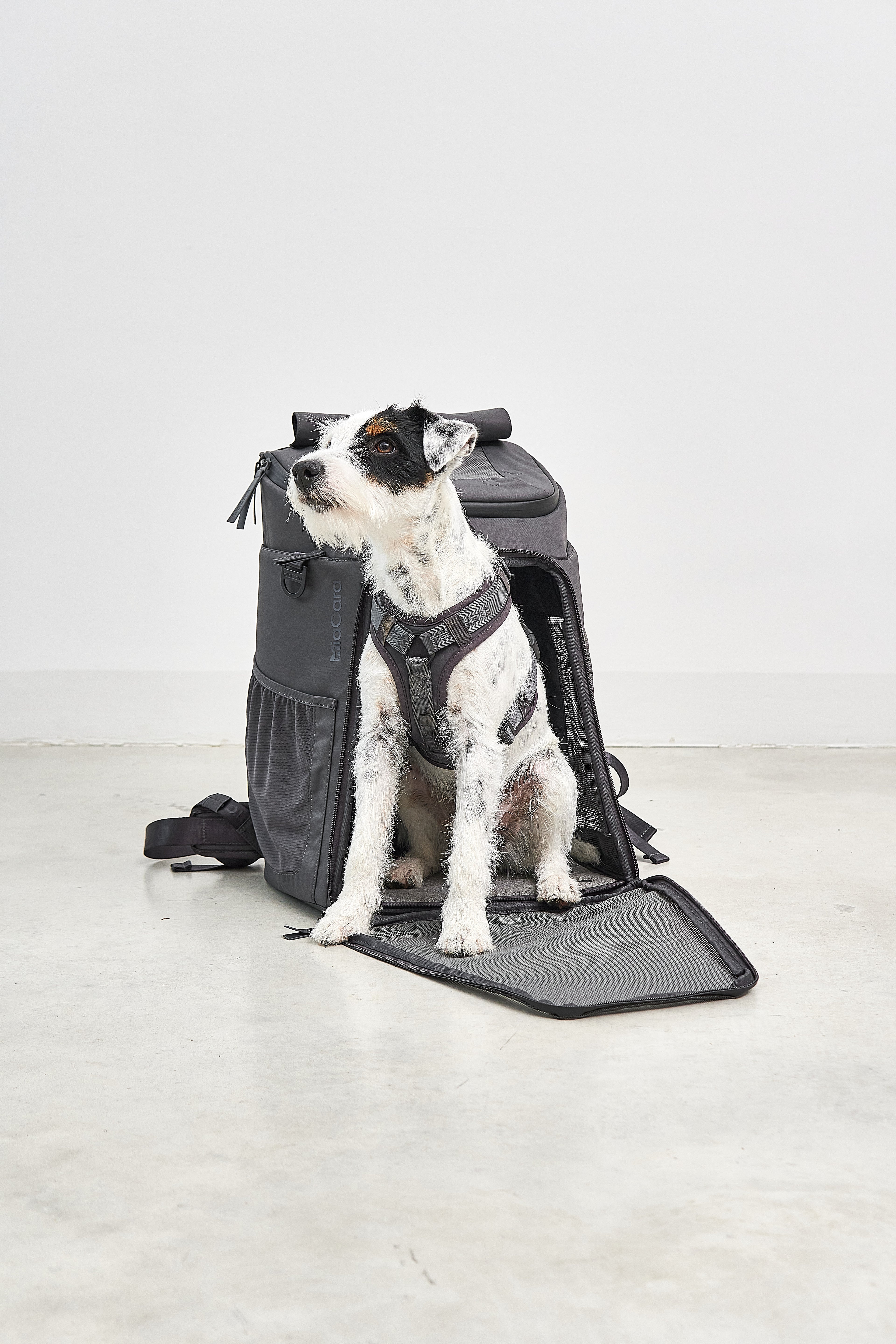 MiaCara Zaino Hunderucksack