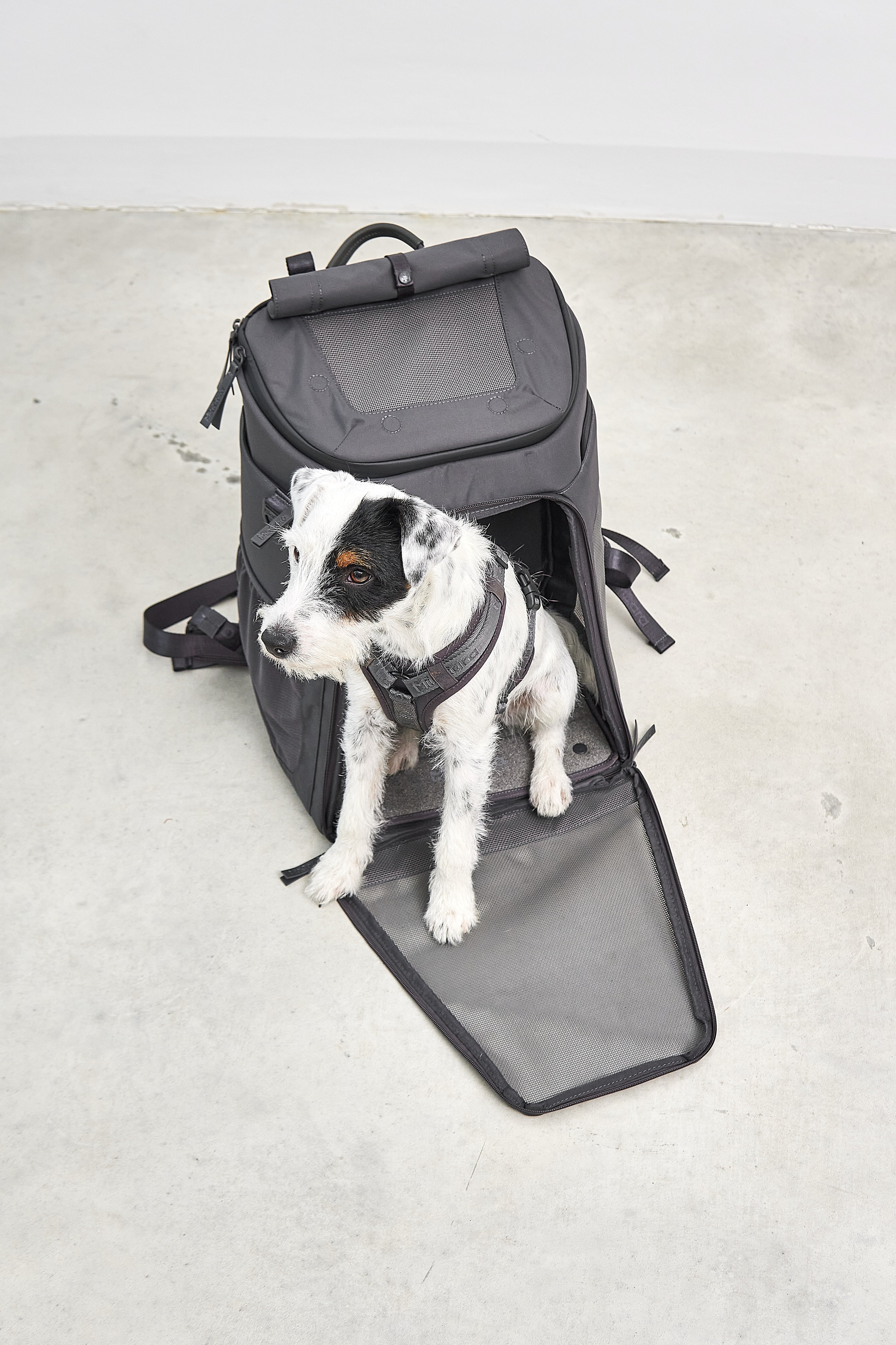 MiaCara Zaino Hunderucksack