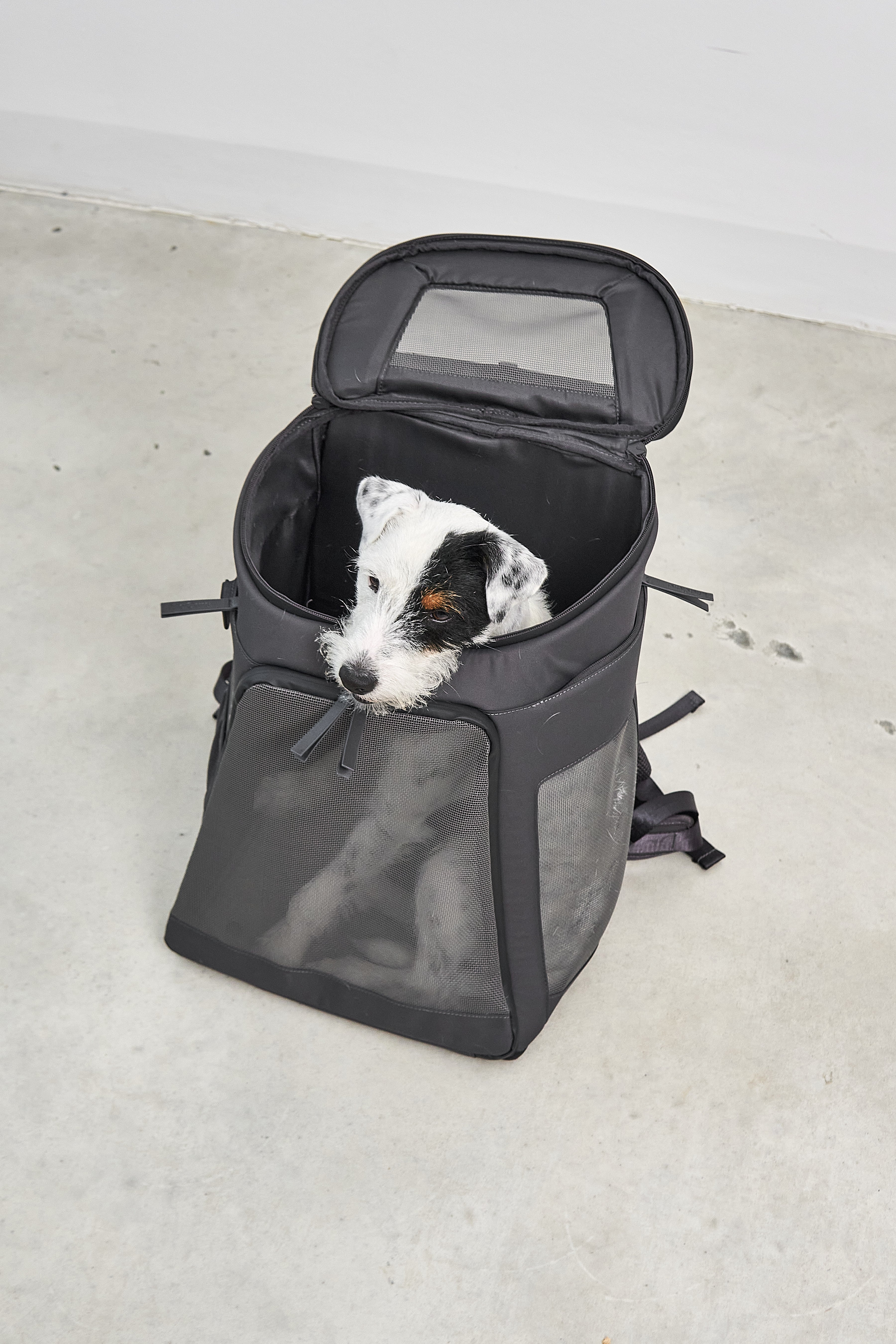 MiaCara Zaino Hunderucksack