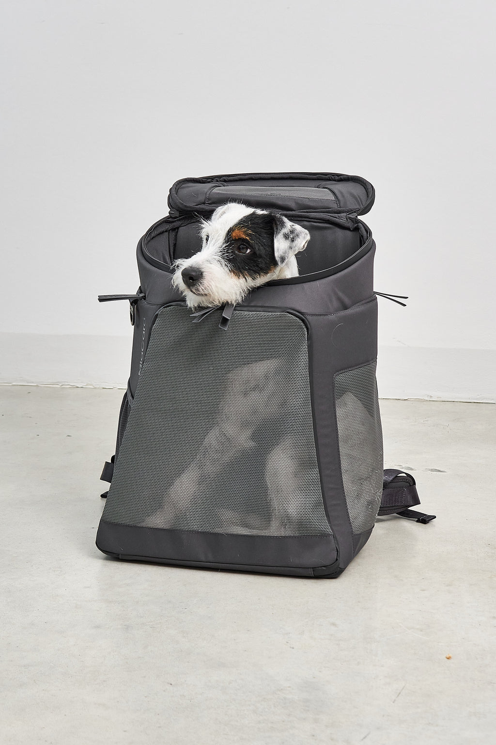 MiaCara Zaino Hunderucksack