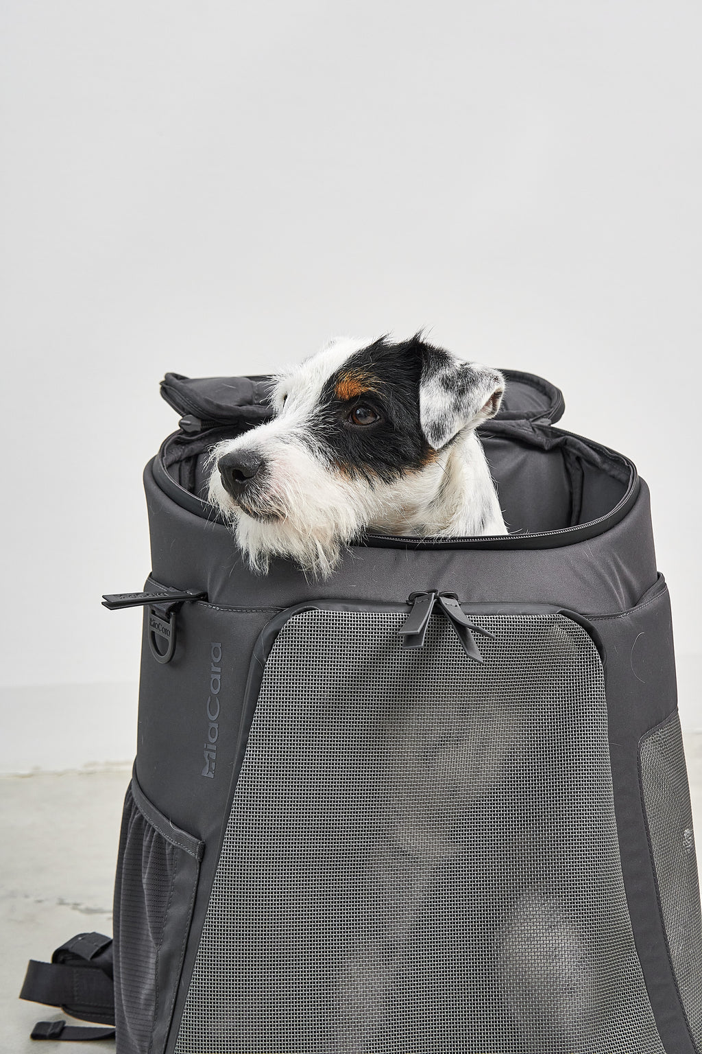 MiaCara Zaino Hunderucksack