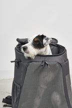 MiaCara Zaino Dog Backpack