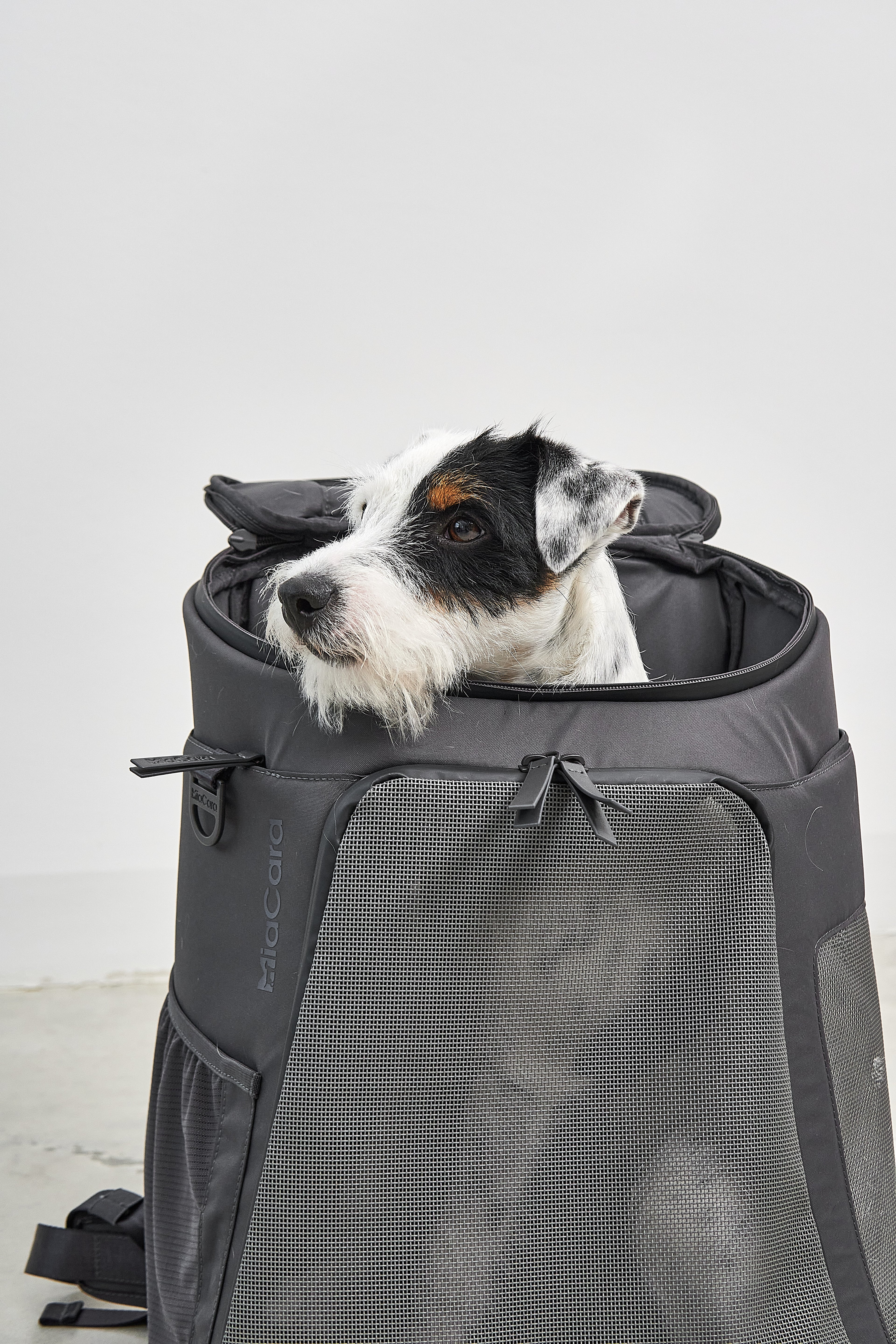 MiaCara Zaino Hunderucksack