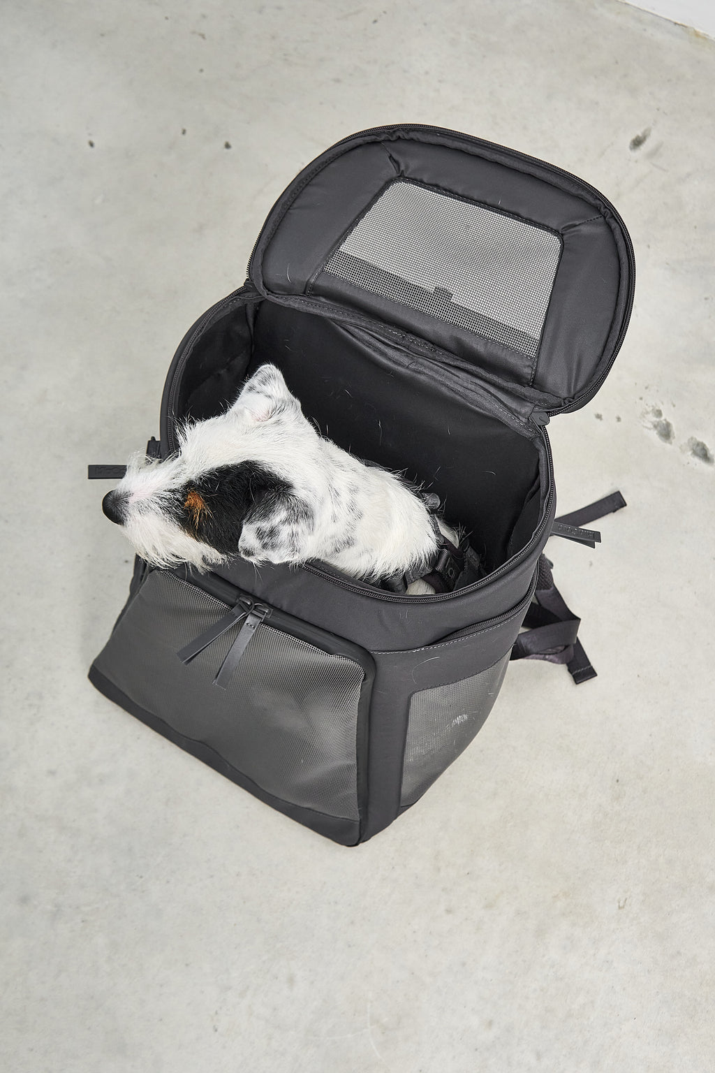 MiaCara Zaino Hunderucksack