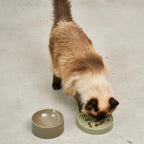 MiaCara Piatto gamelle pour chat