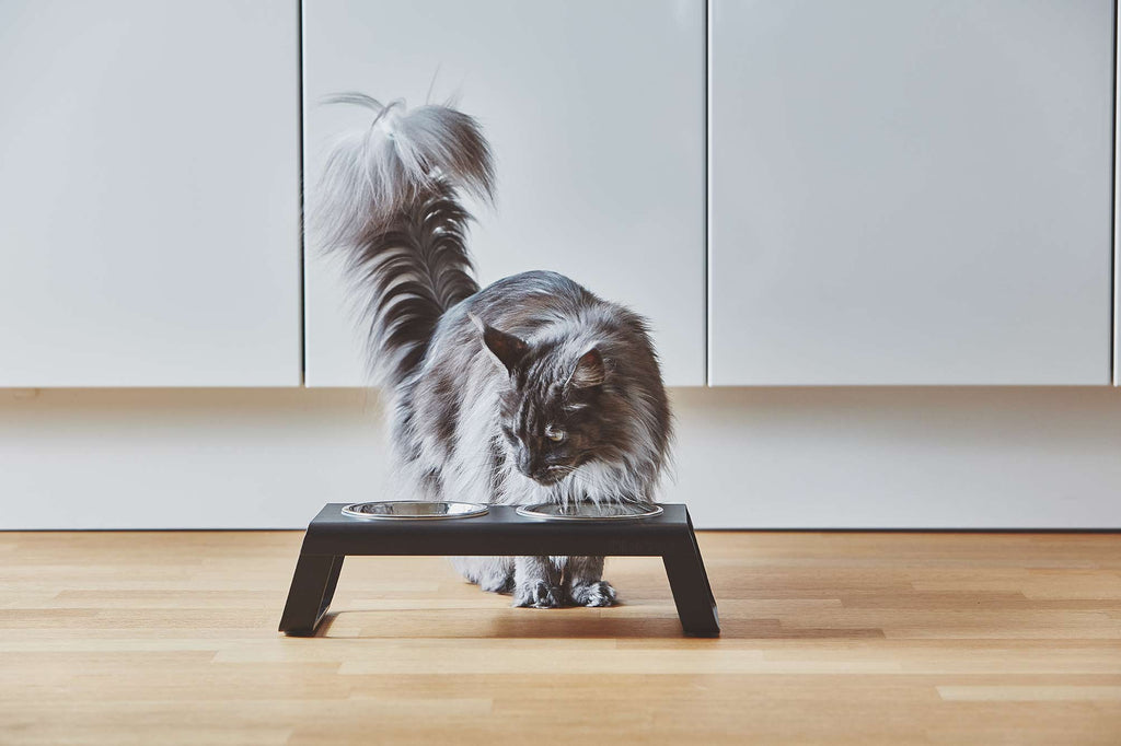 MiaCara Desco Napfständer Katze