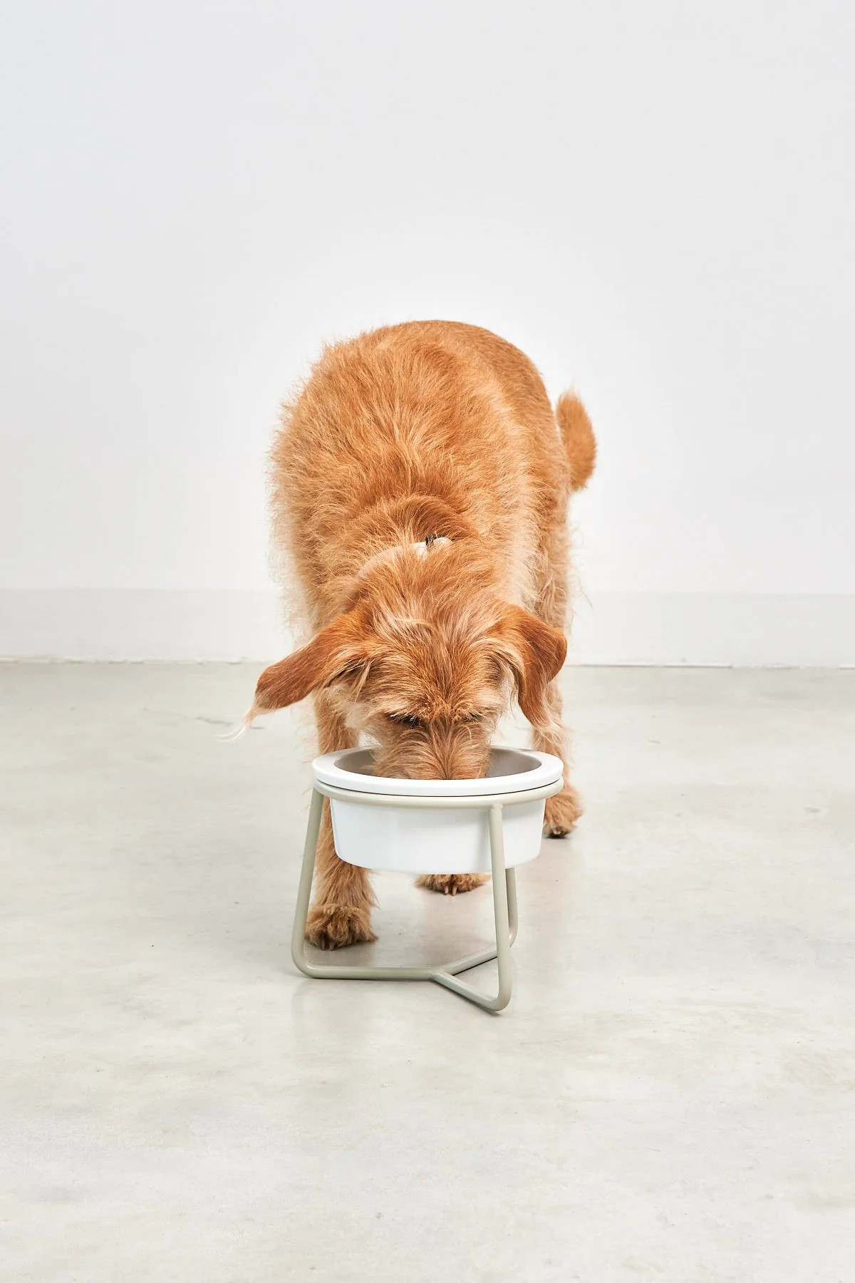 MiaCara Pranzo Napfständer für Hunde