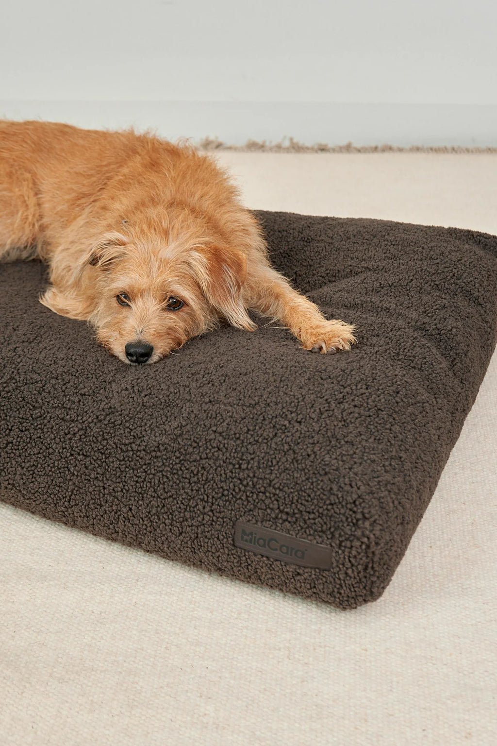 Senso Dog Cushion