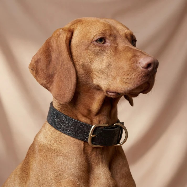 Doggy with Style collier pour chien Floralis - Large