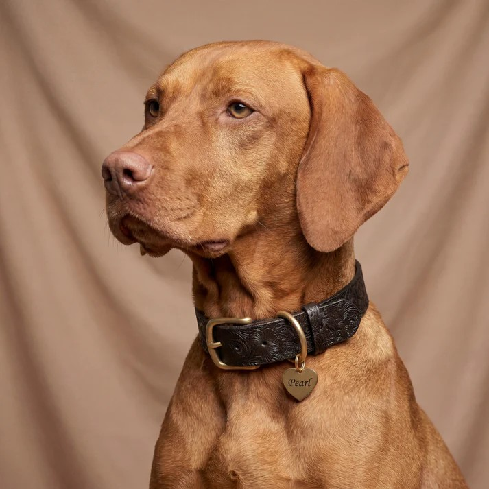 Doggy with Style Dog Tag