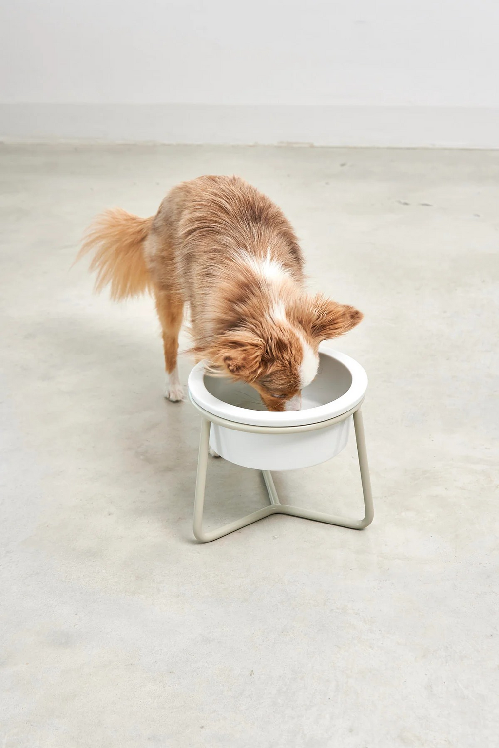 MiaCara Pranzo Napfständer für Hunde