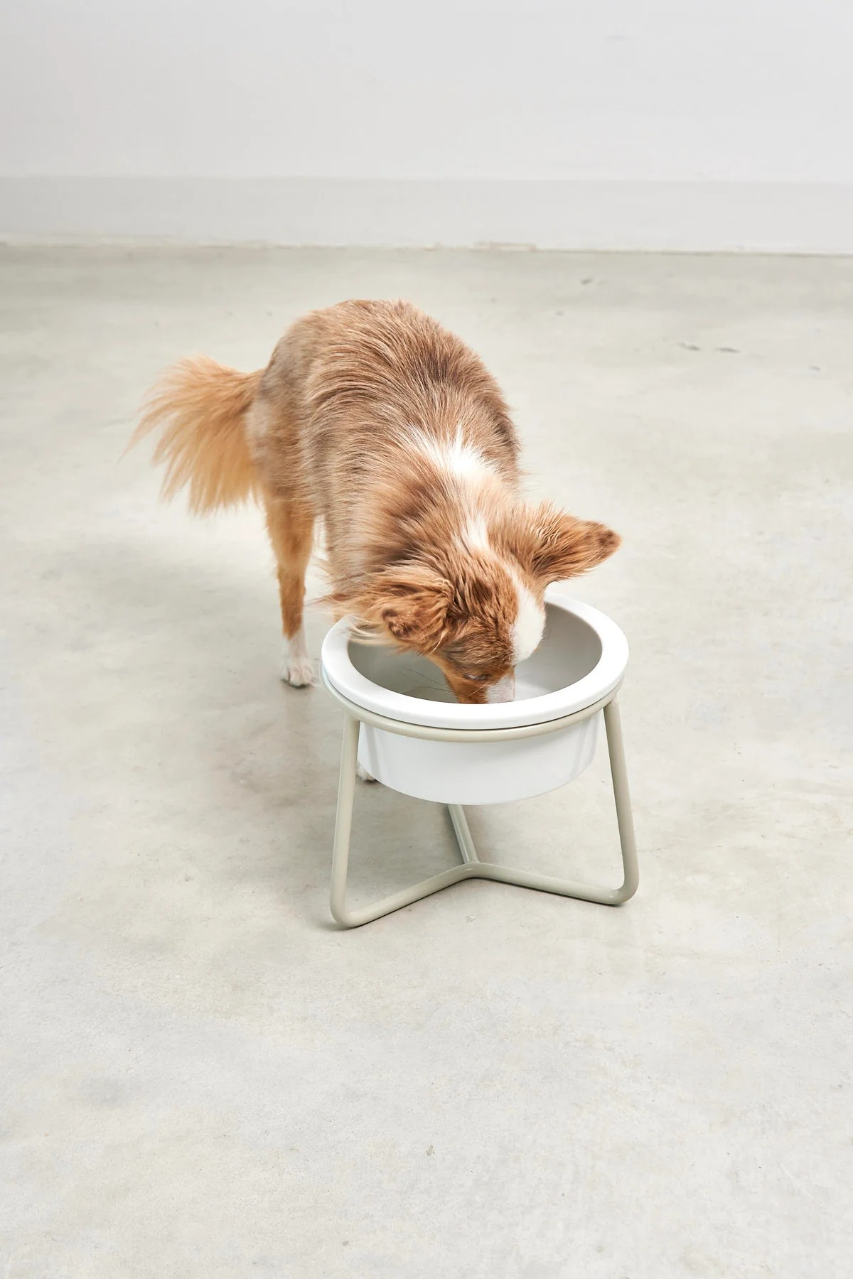 MiaCara Pranzo Napfständer für Hunde