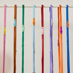 The Fritz lead and collar set