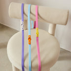The Fritz lead and collar set