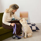 The Fritz Hundebett