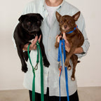 The Fritz lead and collar set