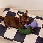 The Fritz Hundebett