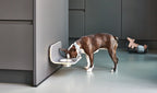 MiaCara Arco support pour gamelles pour chiens