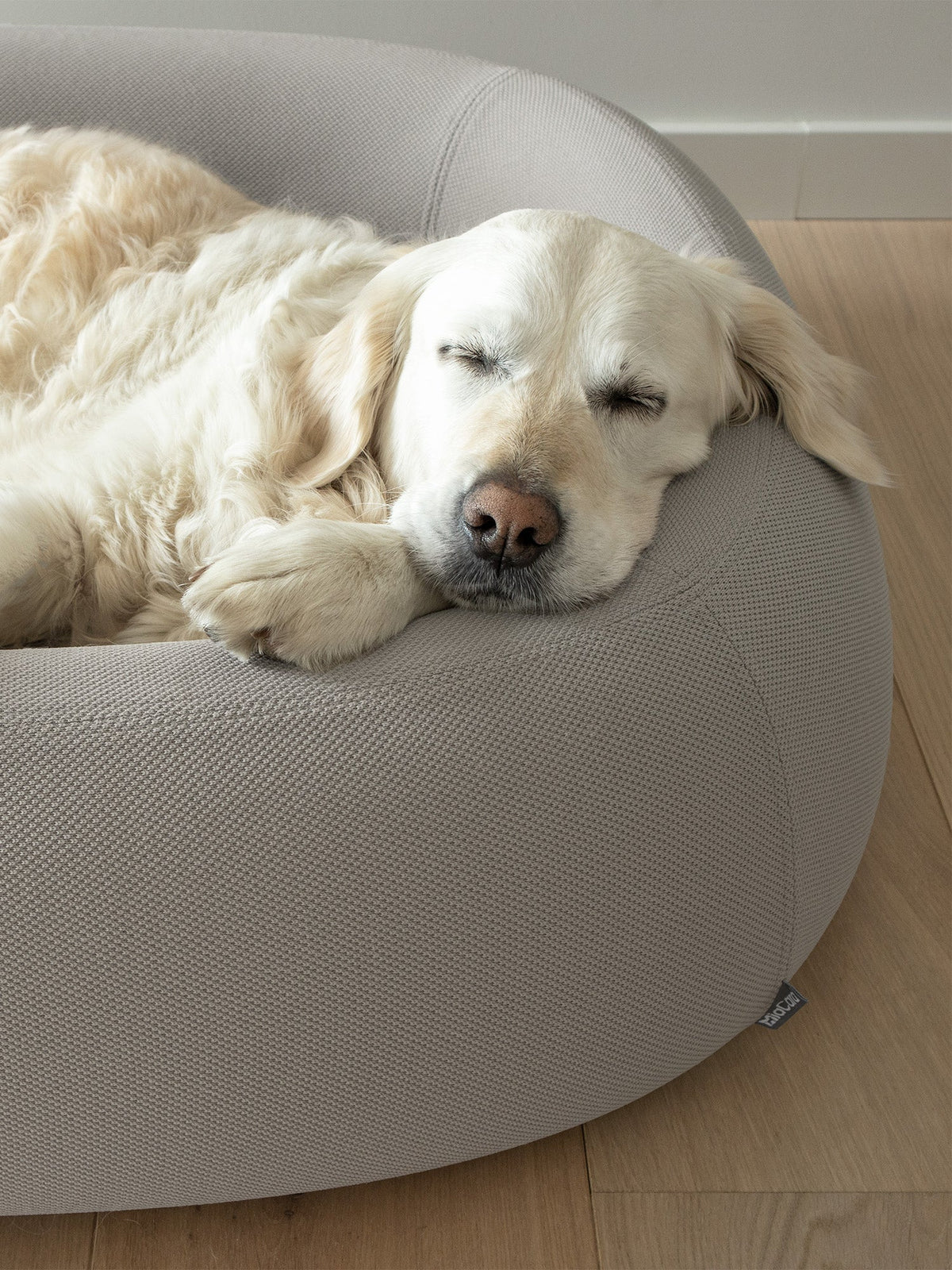Barca Hundebett