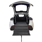 Dog & Drive Hundetreppe für Tesla MY