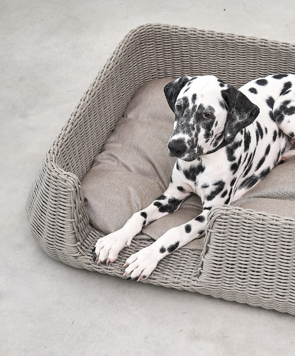 MiaCara Mio Hundekorb