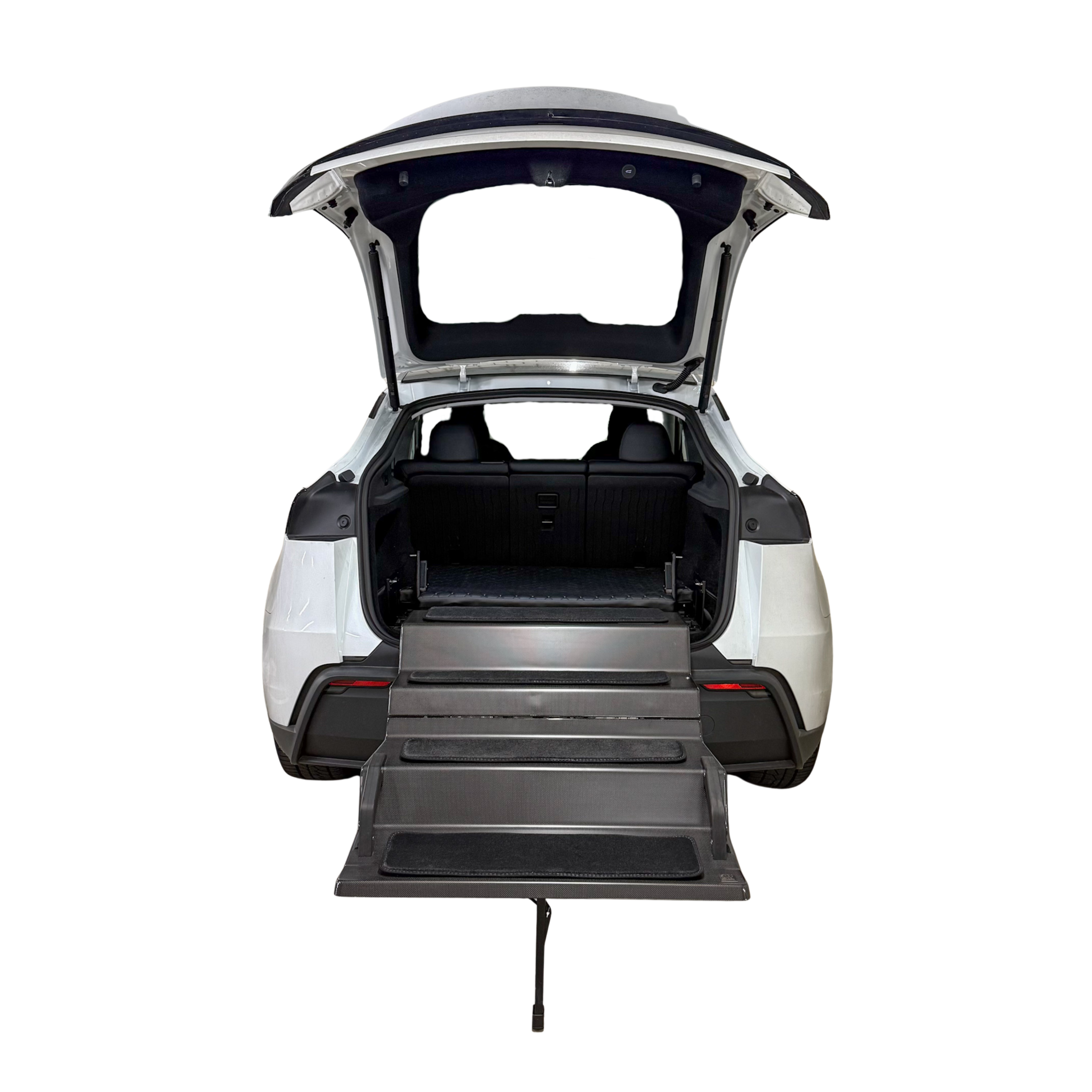 Dog & Drive Dog Steps