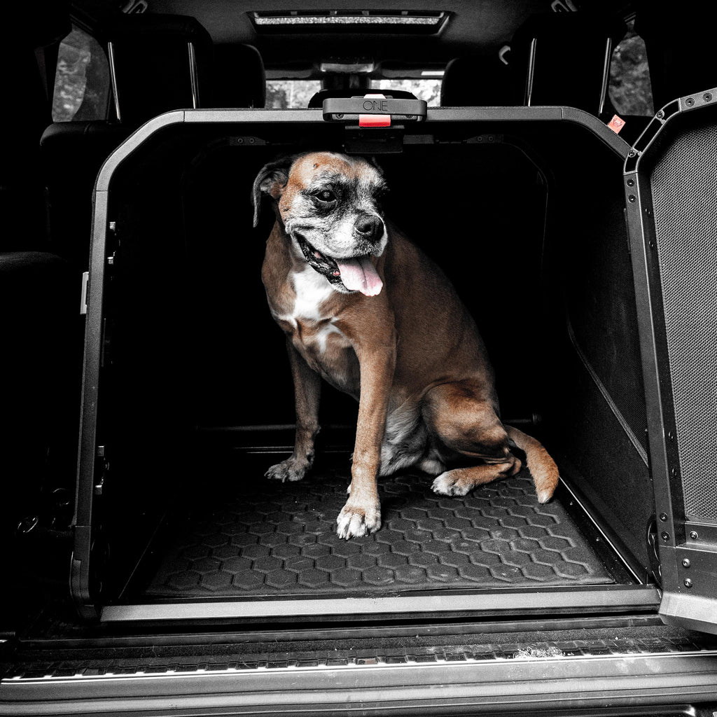 Origami Dog Crate