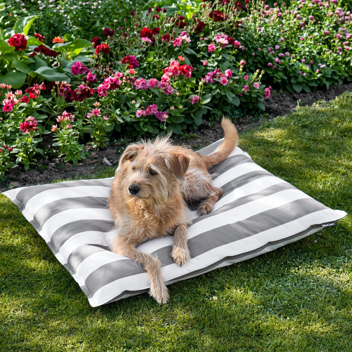 MiaCara Giardino Hundekissen Outdoor