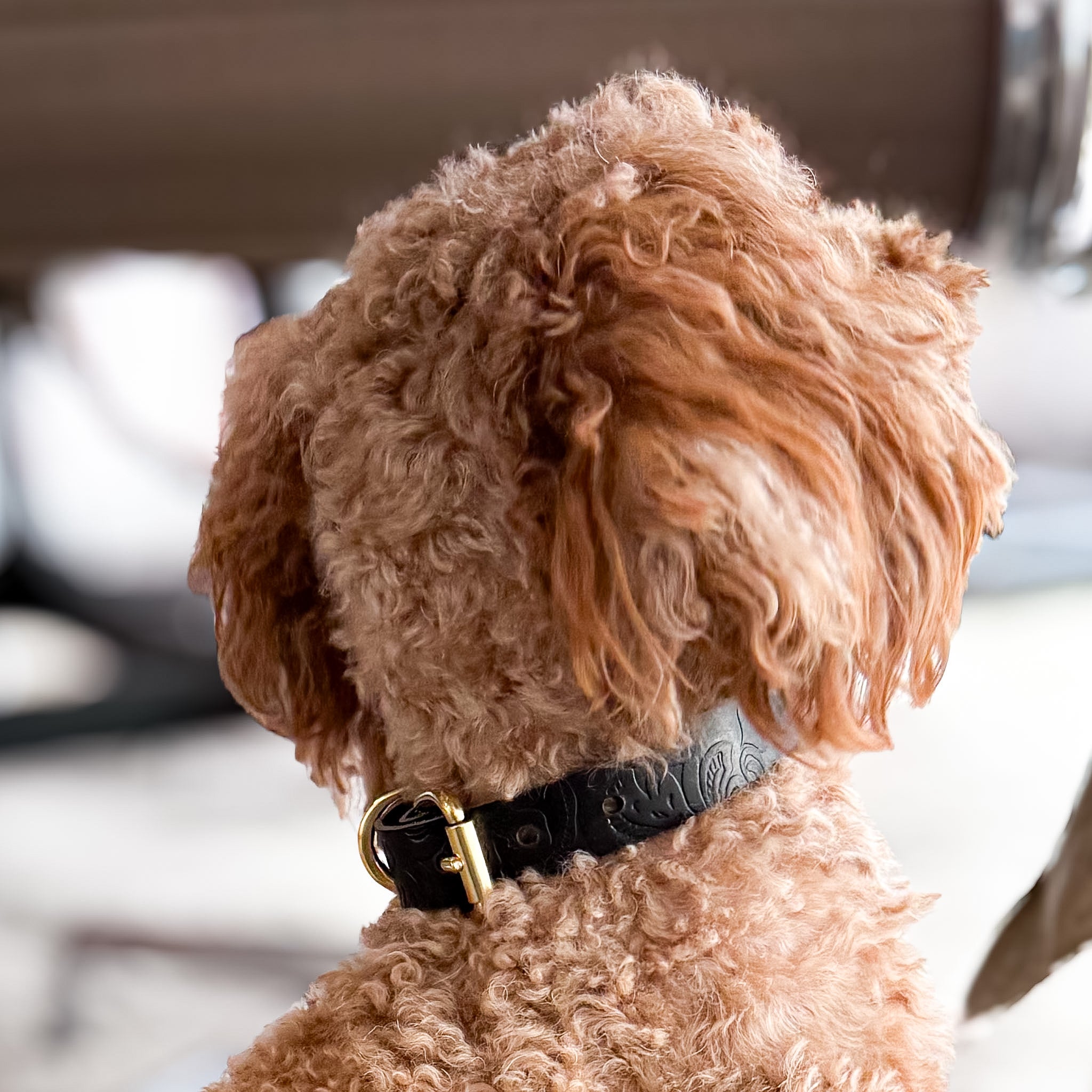 Doggy with Style Hundehalsband Floralis - Schmal