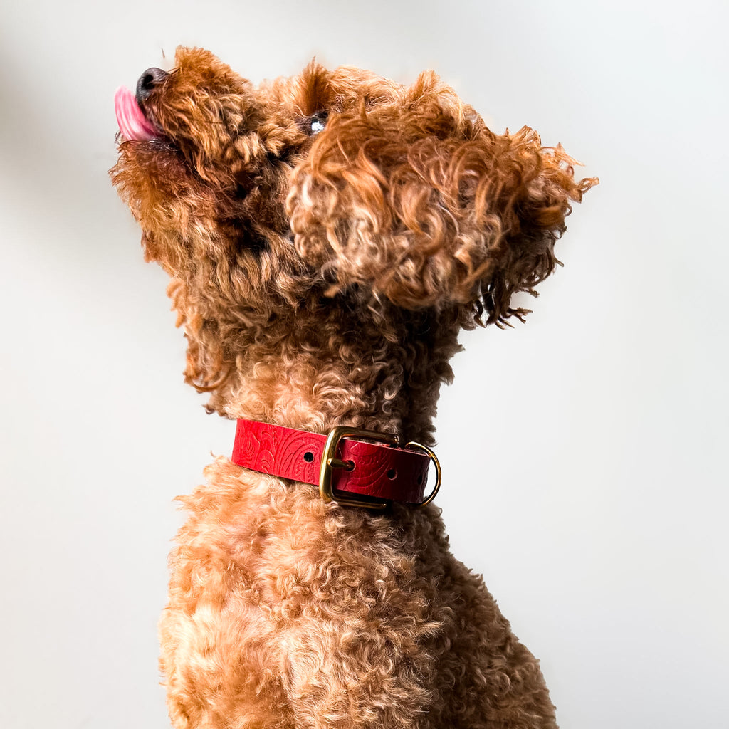 Doggy with Style Hundehalsband Floralis - Schmal