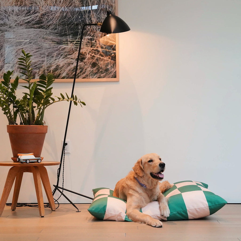 The Fritz Hundebett