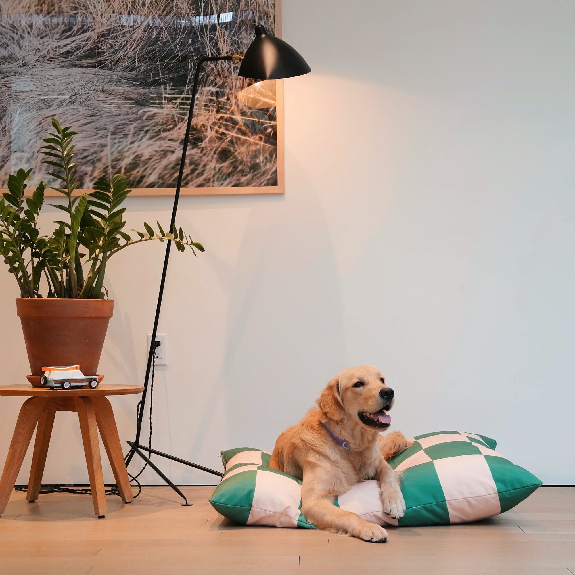 The Fritz Hundebett