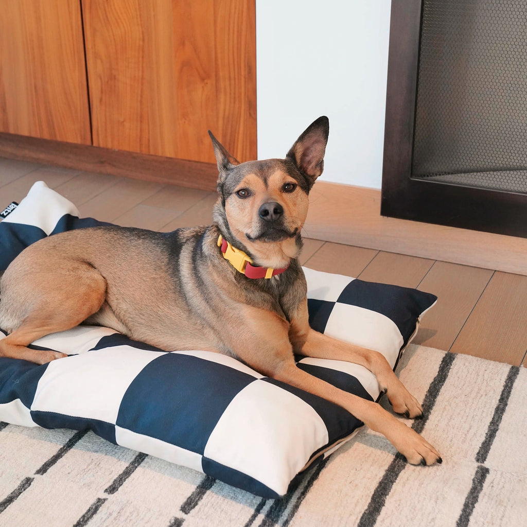 The Fritz Hundebett