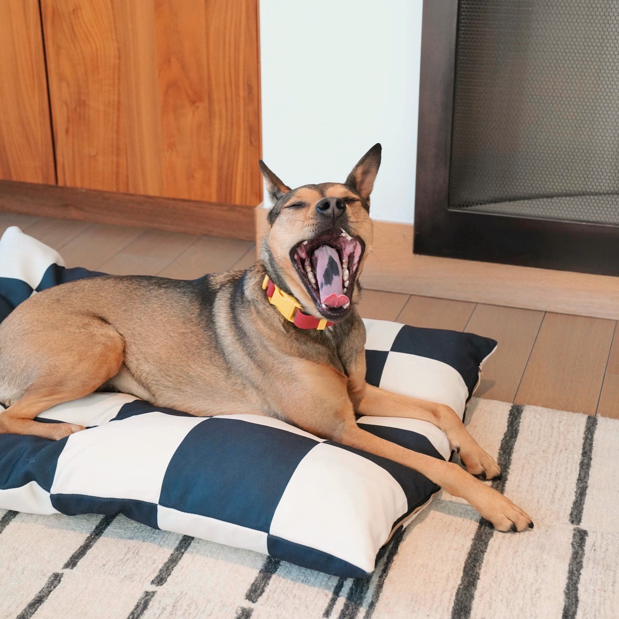 The Fritz Hundebett