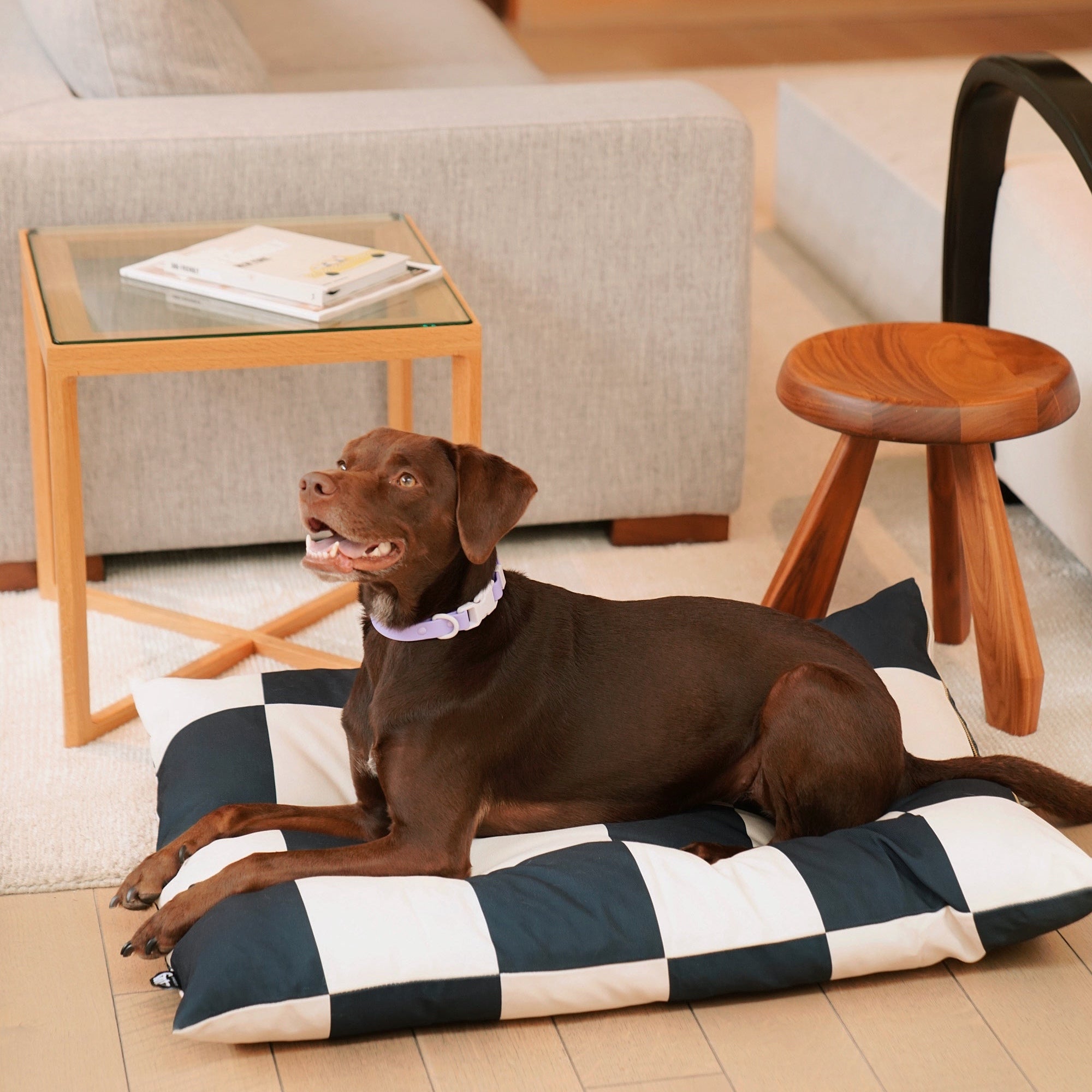 The Fritz Hundebett