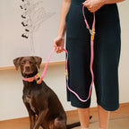 The Fritz lead and collar set